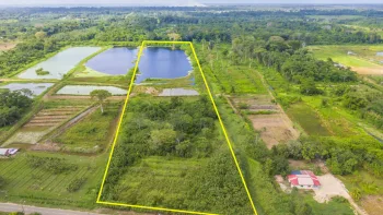 Damboentong 230