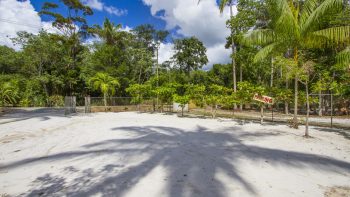Hercus Lingerweg - Vierkinderen - Para - Surgoed Makelaardij NV - Koopwoning W0768B6 (58)