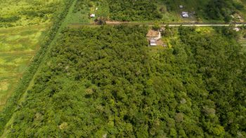 Rosevalweg perc 35-Creola-Saramacca-Surgoed Makelaardij NV-Perceel P0708B6 (9)