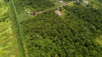Rosevalweg perc 37-Creola-Saramacca-Surgoed Makelaardij NV-Perceel P0709B6 (10)