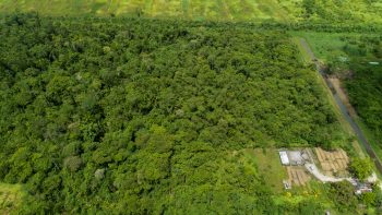 Rosevalweg perc 37-Creola-Saramacca-Surgoed Makelaardij NV-Perceel P0709B6 (16)
