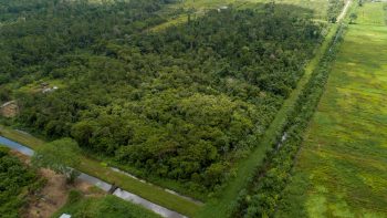 Rosevalweg perc 37-Creola-Saramacca-Surgoed Makelaardij NV-Perceel P0709B6 (4)
