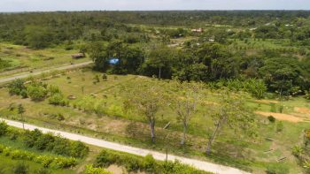 Misgunstweg 94 - Groningen - Saramacca - Surgoed Makelaardij NV - Perceel P0569B6 (5)
