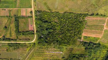 Gravensteinweg 85-Mahoproject-Saramacca-Surgoed Makelaardij NV-Perceel P0744B3 (14)