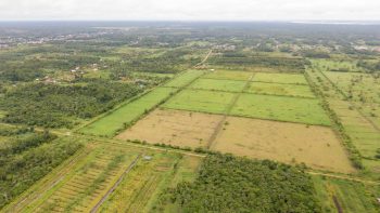 Lompongweg 214-Tamanredjo-Commewijne-Surgoed Makelaardij NV-Perceel KP00485 (15)