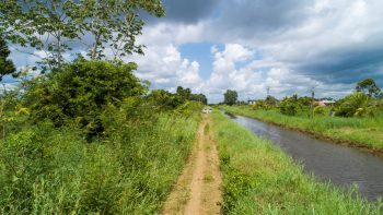 Bevelhebberweg 1659-Voorburg-Commewijne-Surgoed Makelaardij NV-Perceel P0704B3 (12)