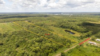 Adrichemweg pc 12 - Waterland - Para - Surgoed Makelaardij NV - Koopperceel KP00603 (2)