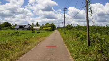 Adrichemweg pc 12 - Waterland - Para - Surgoed Makelaardij NV - Koopperceel KP00603 (6)