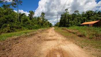Adrichemweg pc 12 - Waterland - Para - Surgoed Makelaardij NV - Koopperceel KP00603 (8)