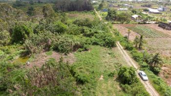 ATROPOWEG PC 1068 - Tuindorp Eureka - Wanica - Surgoed Makelaardij NV - Koopperceel KP00685 (3)