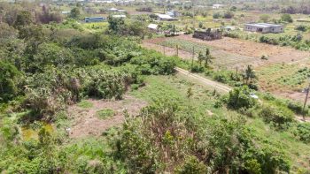ATROPOWEG PC 1068 - Tuindorp Eureka - Wanica - Surgoed Makelaardij NV - Koopperceel KP00685 (4)