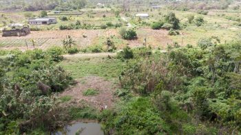 ATROPOWEG PC 1068 - Tuindorp Eureka - Wanica - Surgoed Makelaardij NV - Koopperceel KP00685 (5)