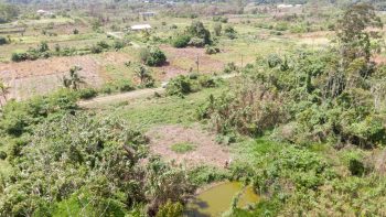 ATROPOWEG PC 1068 - Tuindorp Eureka - Wanica - Surgoed Makelaardij NV - Koopperceel KP00685 (6)