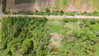 ATROPOWEG PC 1068 - Tuindorp Eureka - Wanica - Surgoed Makelaardij NV - Koopperceel KP00685 (8)