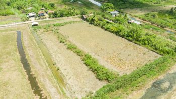 Ingipipastraat - Weg naar zee - Paramaribo - Surgoed Makelaardij NV - Koopperceel KP00650 (10)