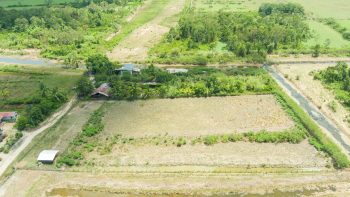 Ingipipastraat - Weg naar zee - Paramaribo - Surgoed Makelaardij NV - Koopperceel KP00650 (11)
