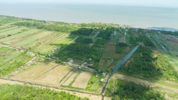 Ingipipastraat - Weg naar zee - Paramaribo - Surgoed Makelaardij NV - Koopperceel KP00650 (13)
