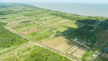 Ingipipastraat - Weg naar zee - Paramaribo - Surgoed Makelaardij NV - Koopperceel KP00650 (14)