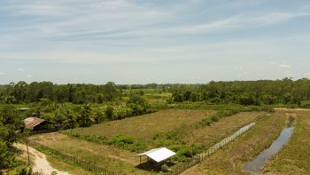 Ingipipastraat - Weg naar zee - Paramaribo - Surgoed Makelaardij NV - Koopperceel KP00650 (2)