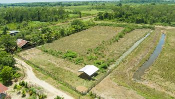 Ingipipastraat - Weg naar zee - Paramaribo - Surgoed Makelaardij NV - Koopperceel KP00650 (3)