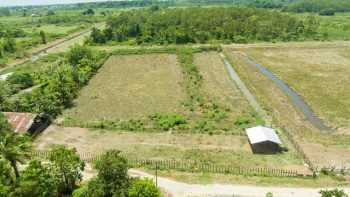 Ingipipastraat - Weg naar zee - Paramaribo - Surgoed Makelaardij NV - Koopperceel KP00650 (4)