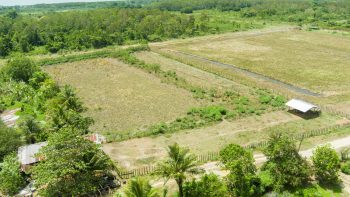 Ingipipastraat - Weg naar zee - Paramaribo - Surgoed Makelaardij NV - Koopperceel KP00650 (5)