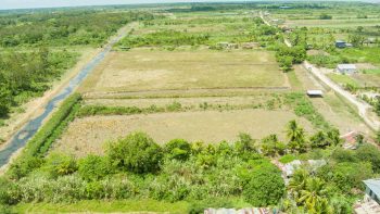 Ingipipastraat - Weg naar zee - Paramaribo - Surgoed Makelaardij NV - Koopperceel KP00650 (6)
