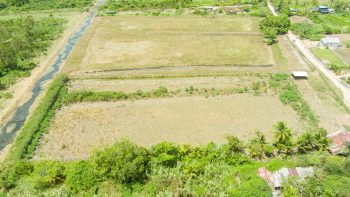 Ingipipastraat - Weg naar zee - Paramaribo - Surgoed Makelaardij NV - Koopperceel KP00650 (7)