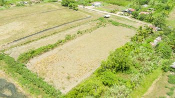 Ingipipastraat - Weg naar zee - Paramaribo - Surgoed Makelaardij NV - Koopperceel KP00650 (8)