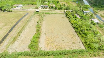 Ingipipastraat - Weg naar zee - Paramaribo - Surgoed Makelaardij NV - Koopperceel KP00650 (9)