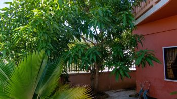 Grapefruitstraat 49 - Morgenstond - Surgoed makerlaardij nv - Koopwoning KW01026 (62)