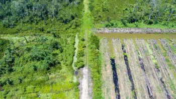 Saramaccaweg - Calcutta - Saramacca - Surgod makelaardij nv - Koopperceel KP01040(2)