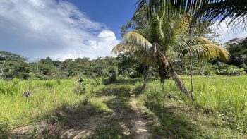 Kampong Sawaweg Oost perc. 287- Saramacca- Surgoed Makelaardij NV Koopperceel KP01063 (10)