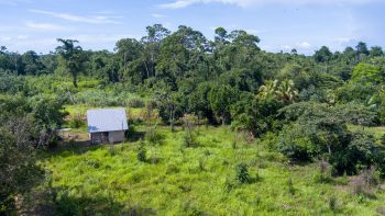 Kampong Sawaweg Oost perc. 287- Saramacca- Surgoed Makelaardij NV Koopperceel KP01063 (13)