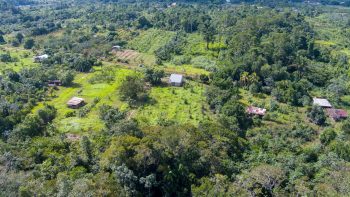 Kampong Sawaweg Oost perc. 287- Saramacca- Surgoed Makelaardij NV Koopperceel KP01063 (6)