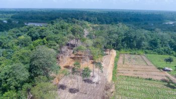 Misgunstweg 89a- Grankreek- Saramacca- Suriname- Surgoed Makelaardij N.V- (13)