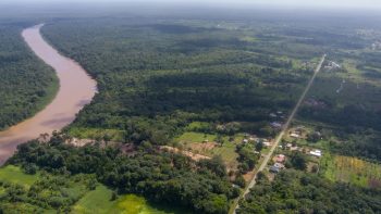 Misgunstweg 89a- Grankreek- Saramacca- Suriname- Surgoed Makelaardij N.V- (16)