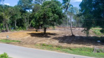 Misgunstweg 89a- Grankreek- Saramacca- Suriname- Surgoed Makelaardij N.V- (17)