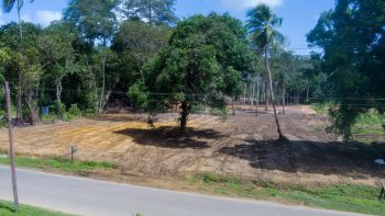 Misgunstweg 89a- Grankreek- Saramacca- Suriname- Surgoed Makelaardij N.V- (18)