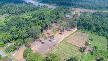 Misgunstweg 89a- Grankreek- Saramacca- Suriname- Surgoed Makelaardij N.V- (4)