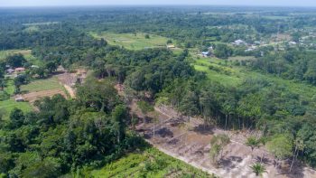 Misgunstweg 89a- Grankreek- Saramacca- Suriname- Surgoed Makelaardij N.V- (5)