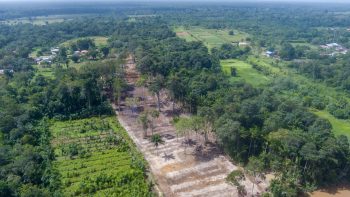Misgunstweg 89a- Grankreek- Saramacca- Suriname- Surgoed Makelaardij N.V- (6)