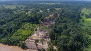 Misgunstweg 89a- Grankreek- Saramacca- Suriname- Surgoed Makelaardij N.V- (7)