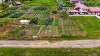 Nachtegaalstraat 1015-Morgenstond-Paramaribo-Surgoed Makelaardij NV-Perceel P0748B3 (10)