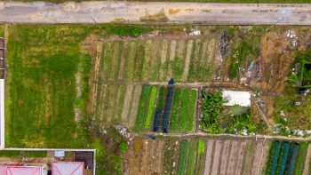 Nachtegaalstraat 1015-Morgenstond-Paramaribo-Surgoed Makelaardij NV-Perceel P0748B3 (11)