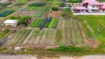 Nachtegaalstraat 1015-Morgenstond-Paramaribo-Surgoed Makelaardij NV-Perceel P0748B3 (3)