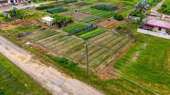 Nachtegaalstraat 1015-Morgenstond-Paramaribo-Surgoed Makelaardij NV-Perceel P0748B3 (4)