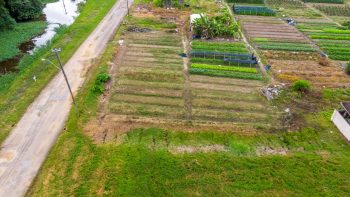 Nachtegaalstraat 1015-Morgenstond-Paramaribo-Surgoed Makelaardij NV-Perceel P0748B3 (5)