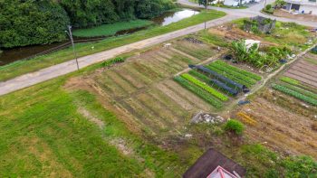 Nachtegaalstraat 1015-Morgenstond-Paramaribo-Surgoed Makelaardij NV-Perceel P0748B3 (6)
