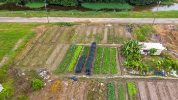 Nachtegaalstraat 1015-Morgenstond-Paramaribo-Surgoed Makelaardij NV-Perceel P0748B3 (7)